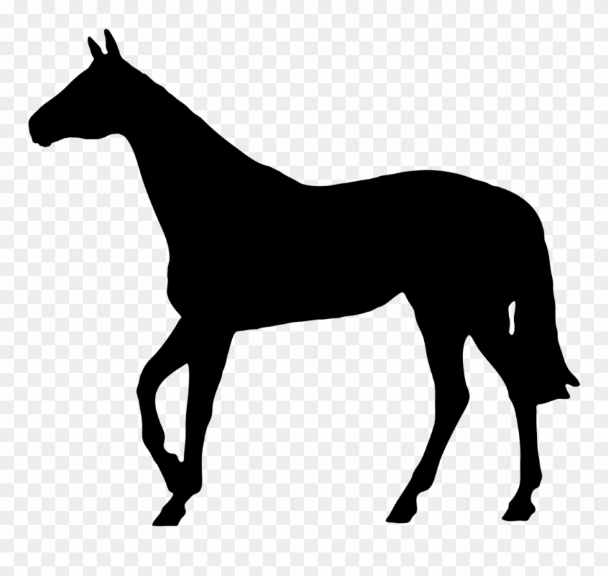 Horse clipart. Free download. 