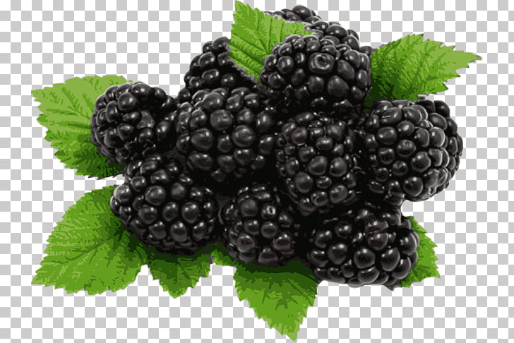 Juice Blackberry pie Organic food Fruit, Black Berries s PNG 