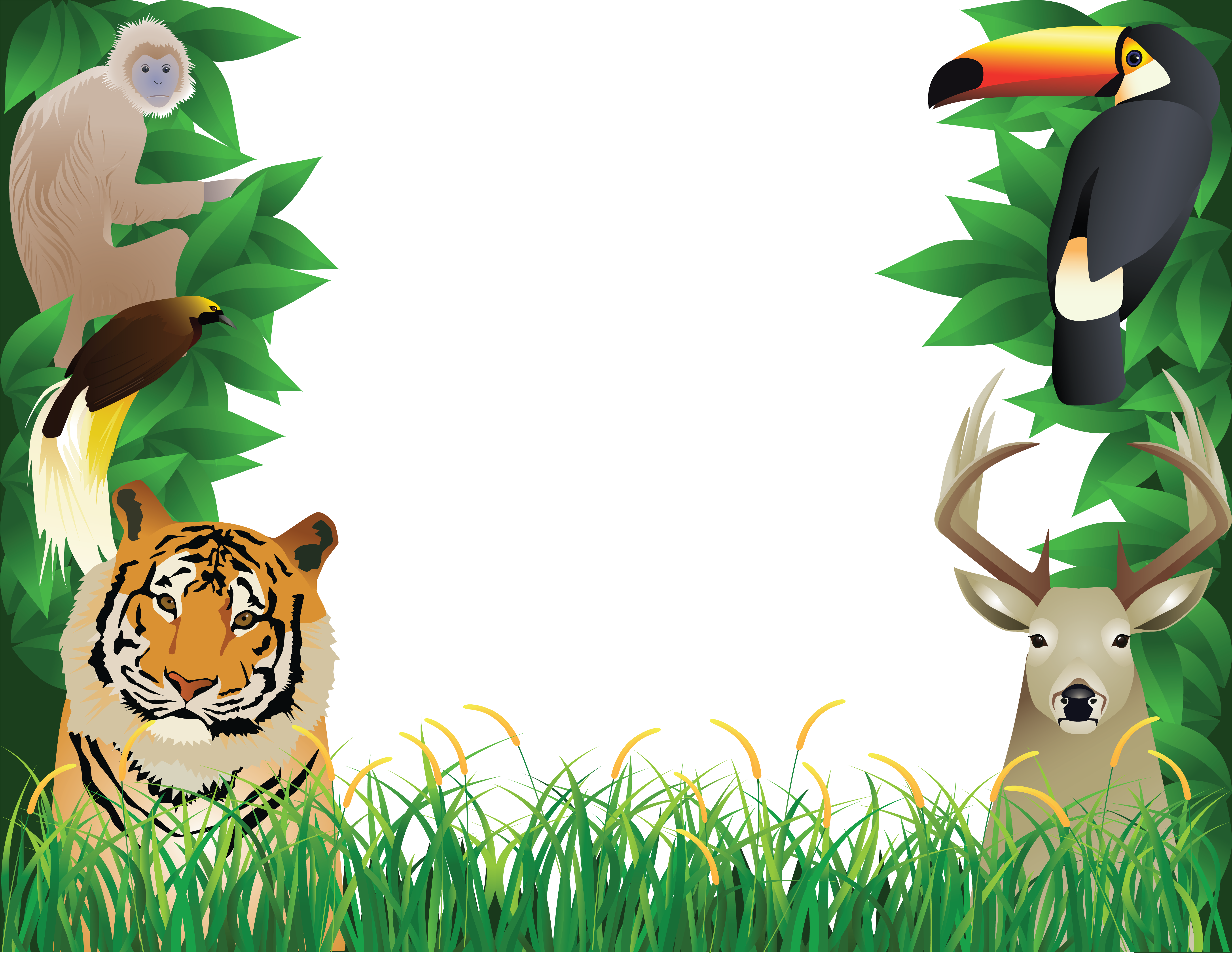 jungle frame png - Clip Art Library