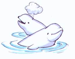 Download beluga clipart Beluga whale Clip art