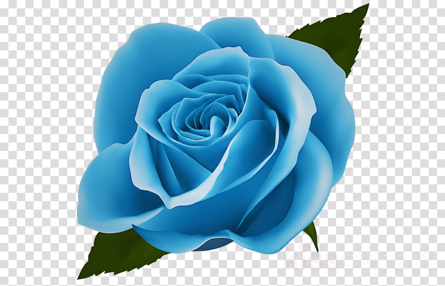 Free Blue Rose Cliparts, Download Free Clip Art, Free Clip Art on