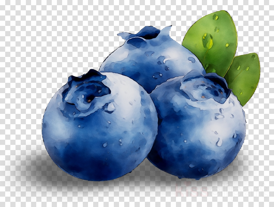 Clip Art Blueberry Cartoon Png - Jamies Witte