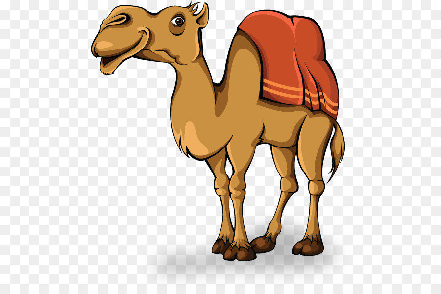 Clip Arts Related To : camel clipart. 