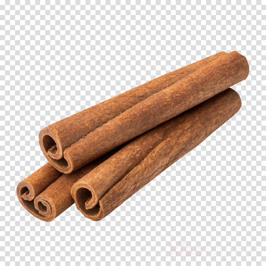 cinnamon cinnamon stick evergreen tree wood clipart - Cinnamon 
