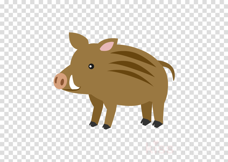 Free Boar Cliparts, Download Free Boar Cliparts png images, Free