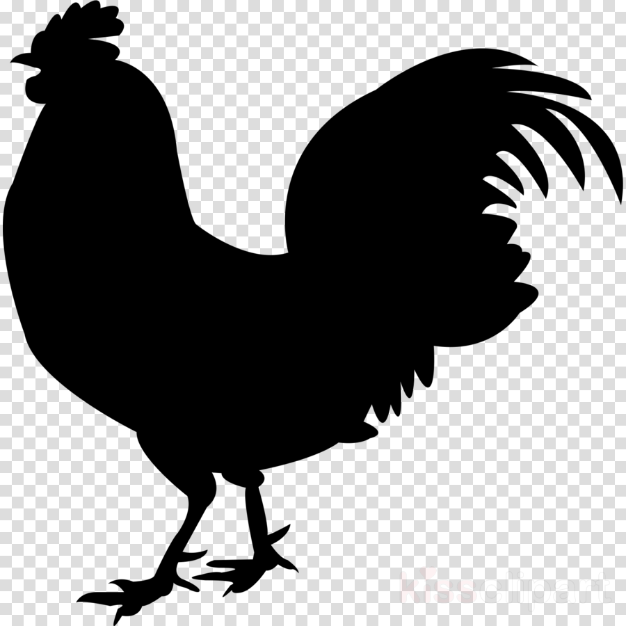 Bird Silhouette clipart - Chicken, Rooster, Silhouette 