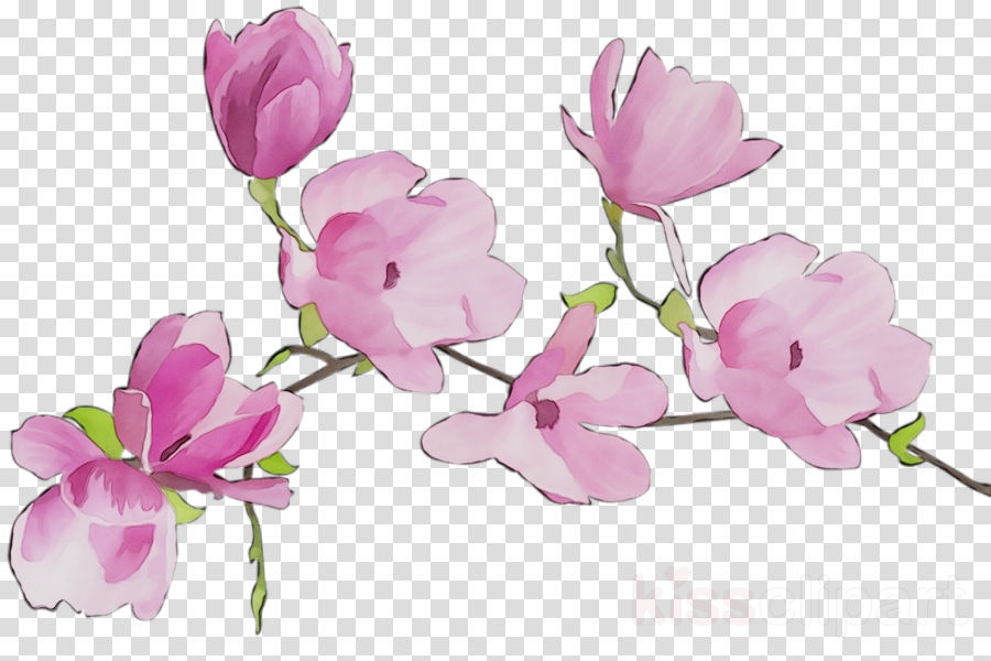 Free Sweet Pea Cliparts, Download Free Clip Art, Free Clip Art on