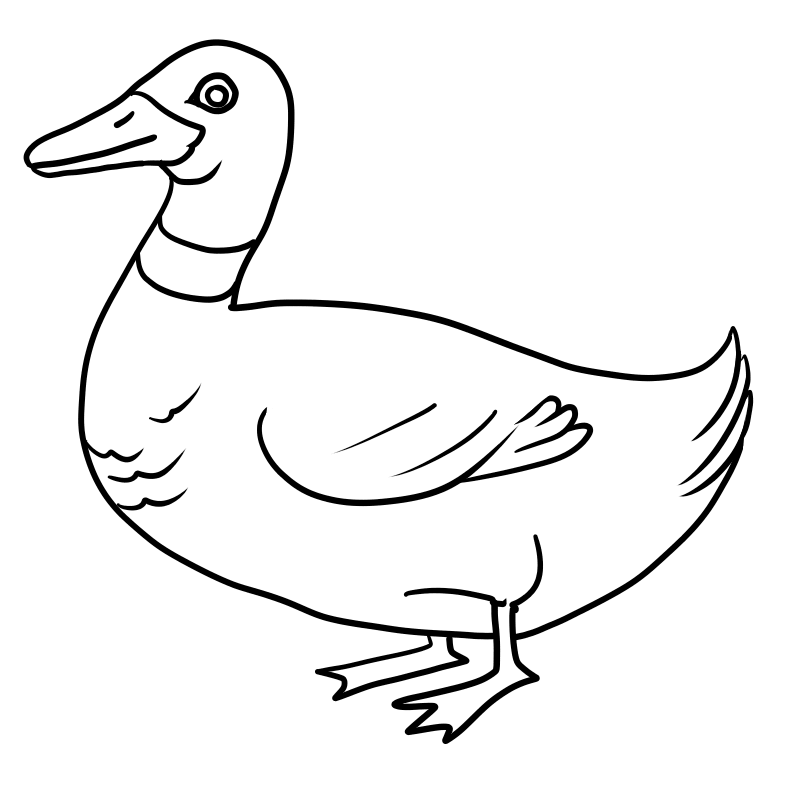 Book Black And White clipart - Duck, Color, Bird, transparent clip art