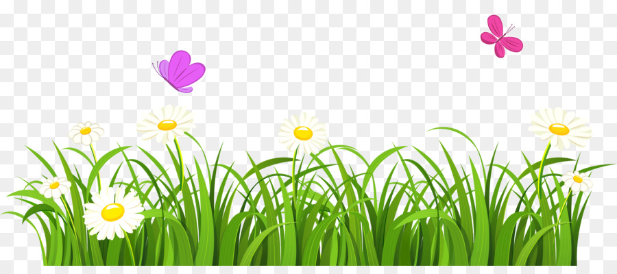 Spring Flower clipart - Flower, Grass, Plant, transparent clip art