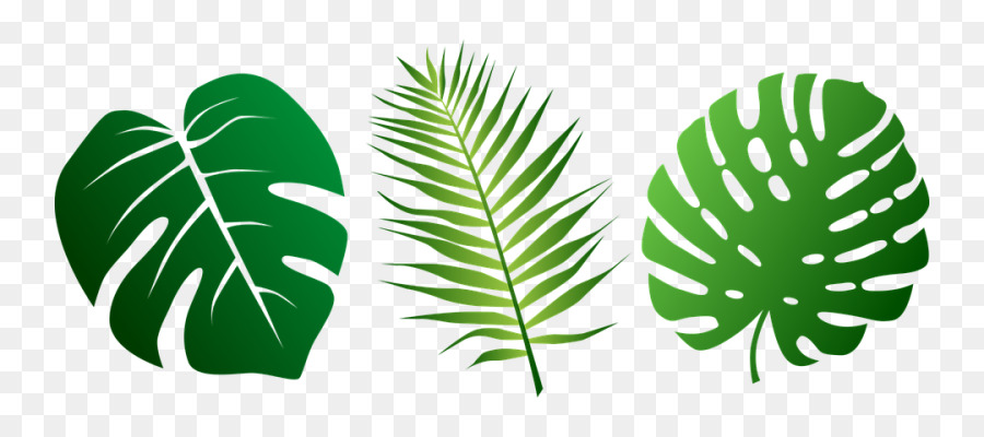 Tropical Leaf clipart - Leaf, Plant, Tree, transparent clip art