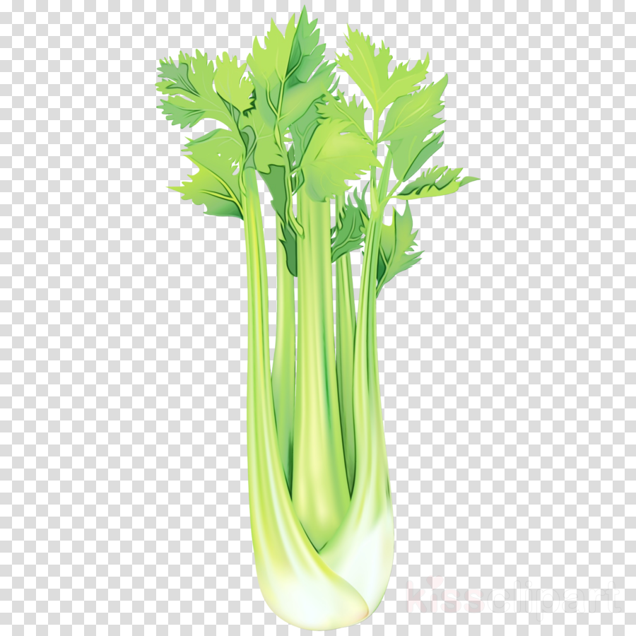 Free Celery Cliparts, Download Free Celery Cliparts png images, Free