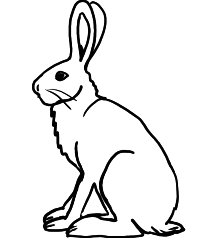 Book Black And White clipart - Rabbit, Drawing, Wildlife 