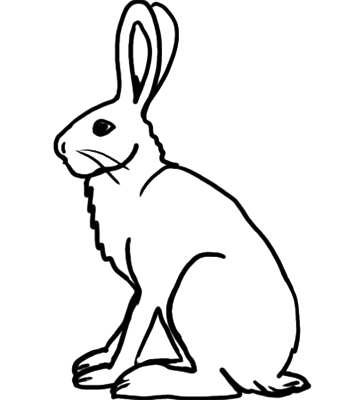 Free Arctic Hare Cliparts, Download Free Arctic Hare Cliparts png