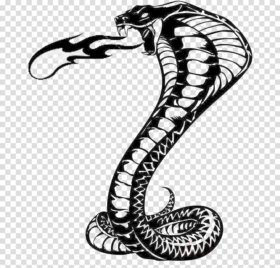 king cobra serpent snake clip art scaled reptile clipart - King 