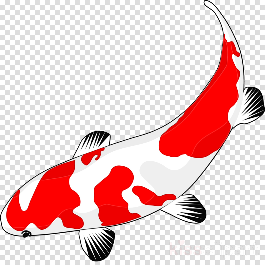 koi fish fish tail clip art clipart - Koi, Fish, Tail, transparent 