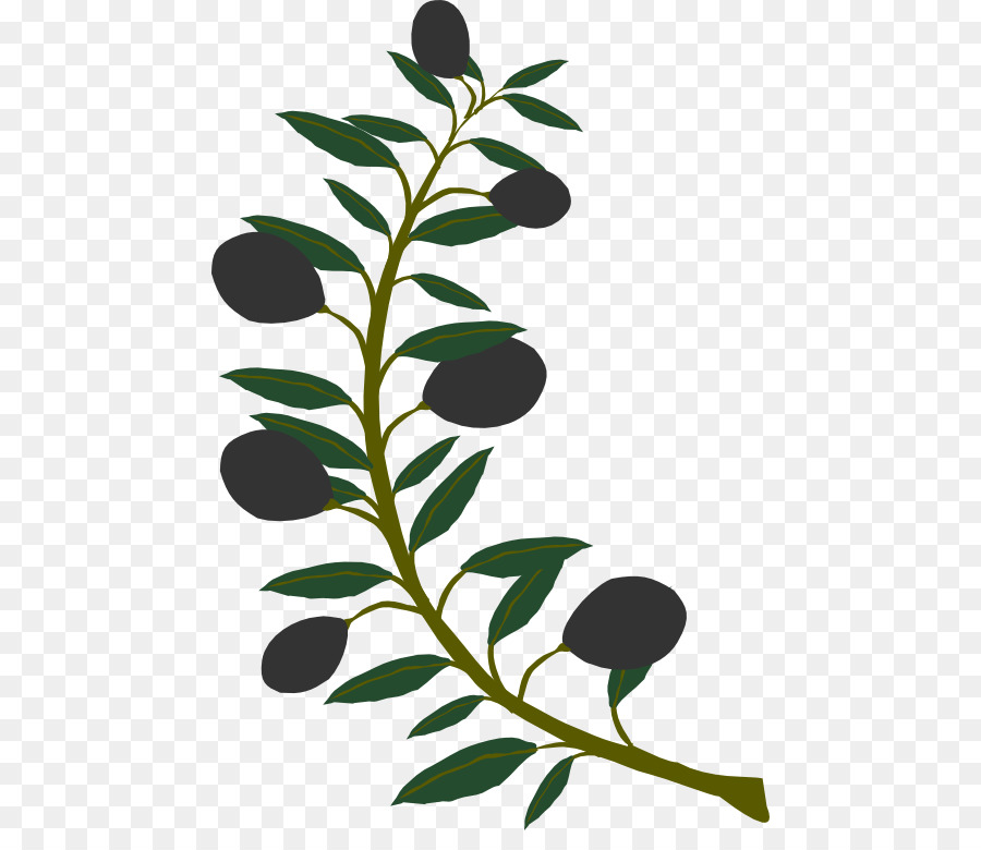 Transparent Background Olive Branch Clipart Clip Art Library