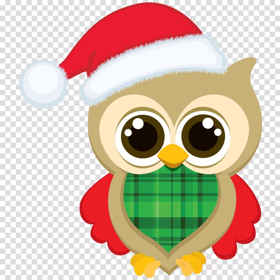 digital images christmas owl owl clipart CA273 Christmas owls clipart