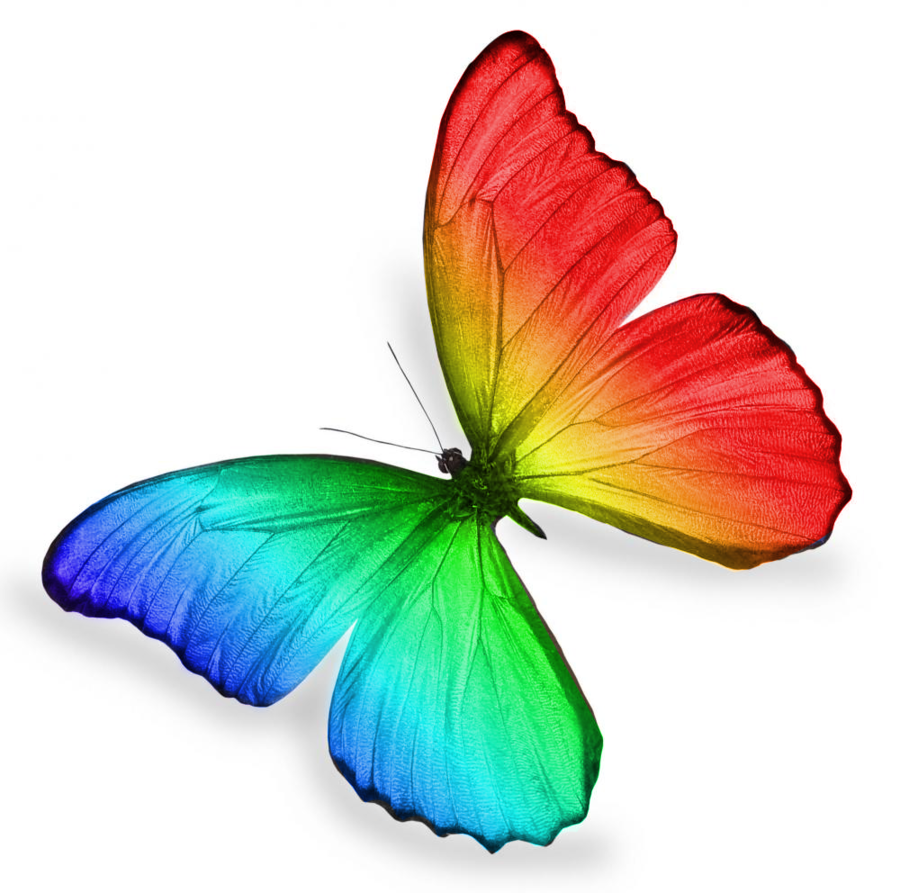 Rainbow Clipart clipart - Butterfly, Rainbow, Wing, transparent 
