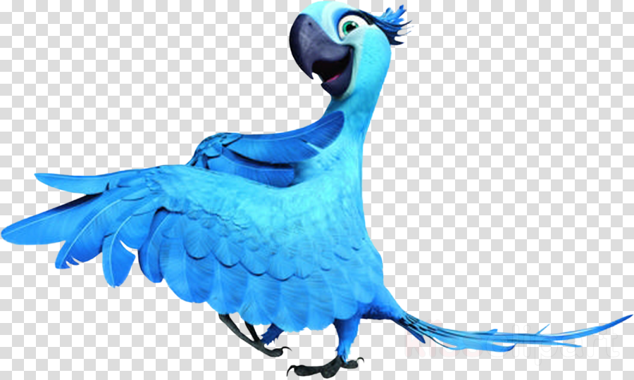 Rio Bird clipart - Bird, Parrot, Feather, transparent clip art