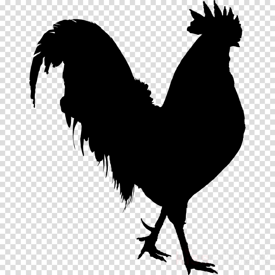 Bird Wing clipart - Rooster, Chicken, Silhouette, transparent clip art