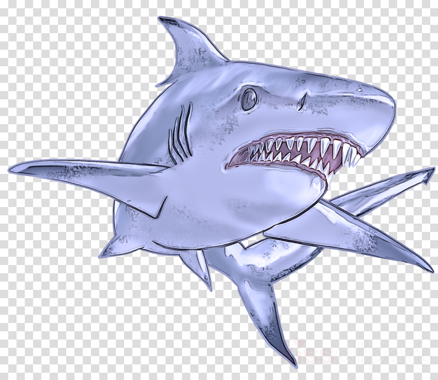 great-white-shark-clipart.