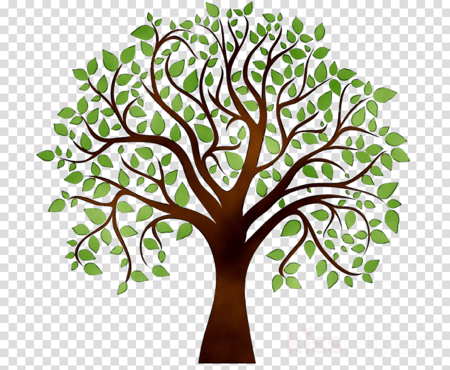 Free Tree Drawing Cliparts Download Free Clip Art Free Clip Art On Clipart Library