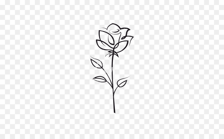 Black And White Flower clipart - Drawing, Rose, Graphics 