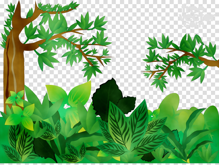 transparent jungle vector png - Clip Art Library