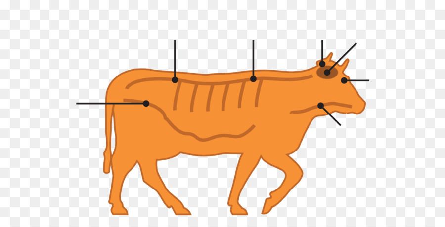 Brain Clipart png download - Free Transparent Cattle 