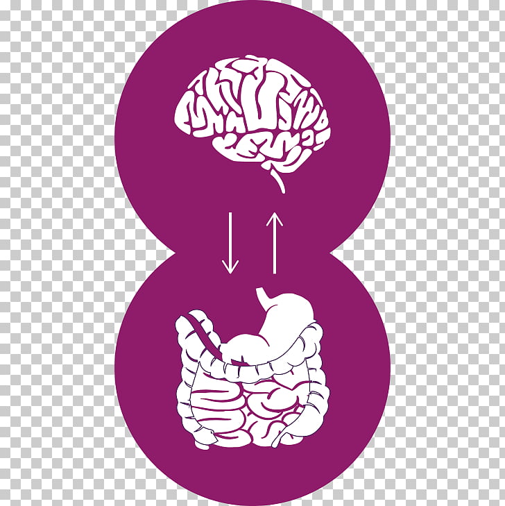 Knowledge Irritable bowel syndrome Gut??�brain axis Art , gut brain 