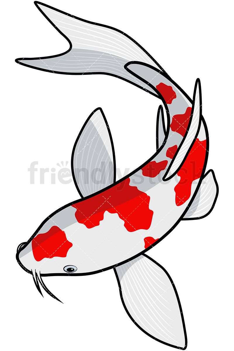 The best free Koi clipart images.  cliparts 