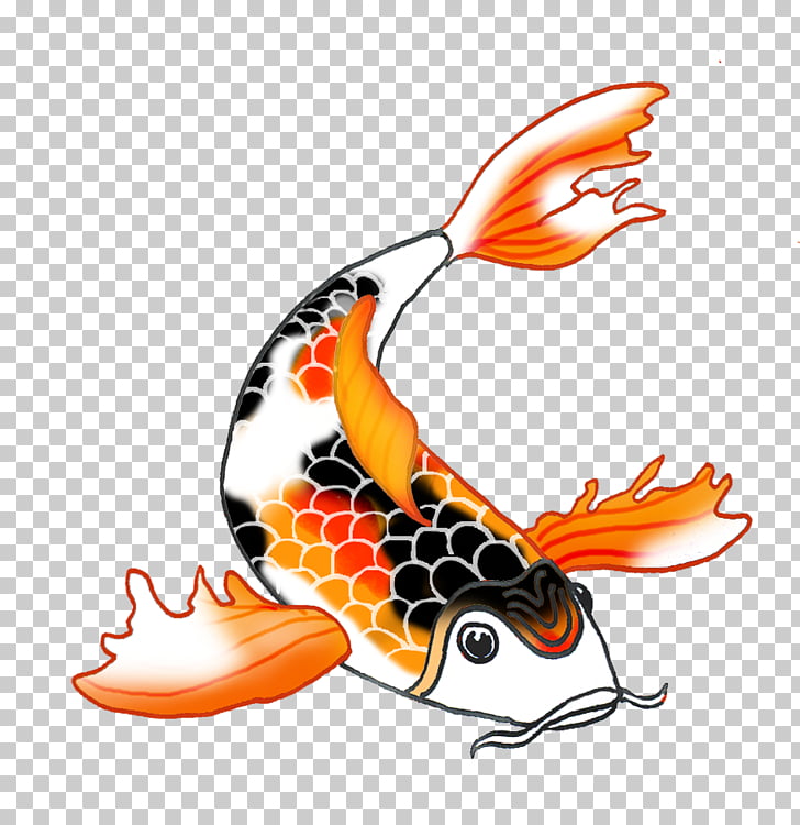 Free Koi Cliparts, Download Free Koi Cliparts png images, Free ClipArts