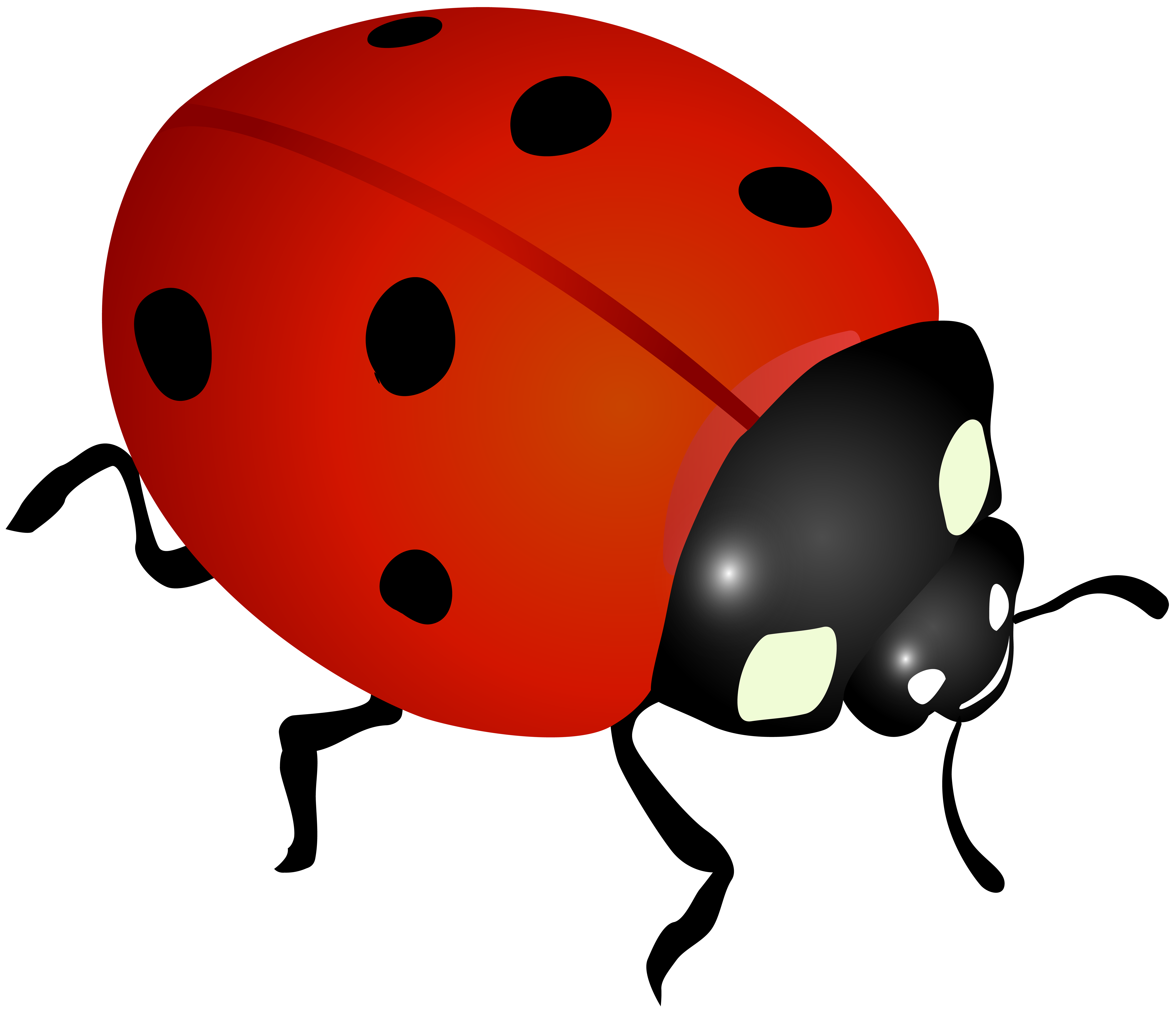 Free Ladybug Cliparts Download Free Ladybug Cliparts Png Images Free