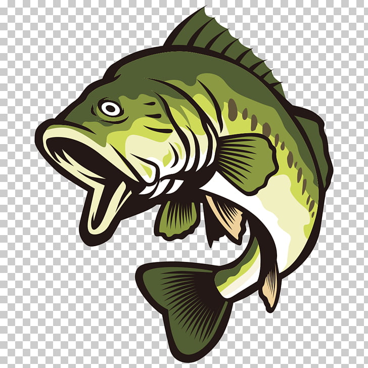 Largemouth bass , Open your mouth and green fish, green bass fish 