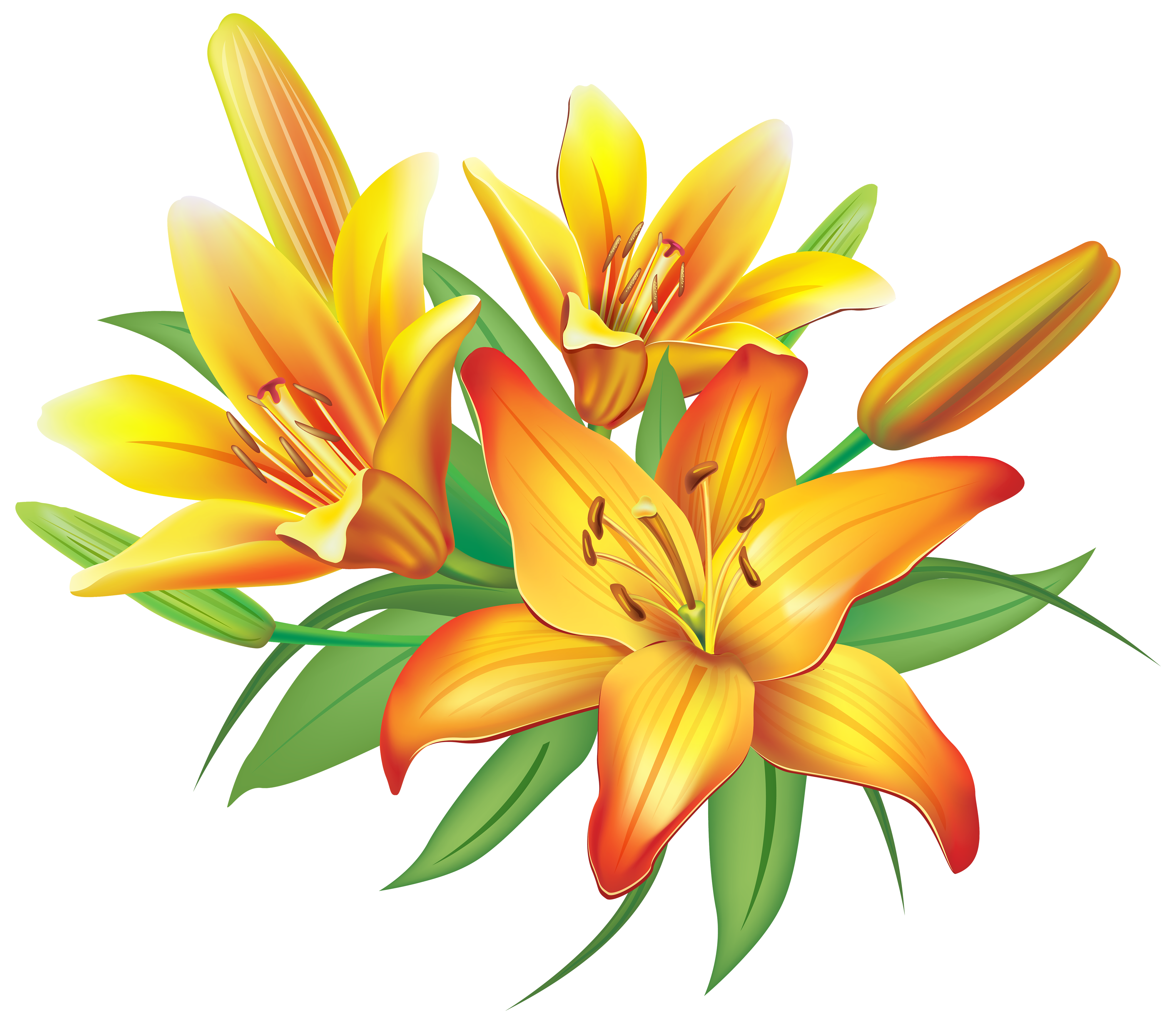 Free Lily Clip Art Pictures 