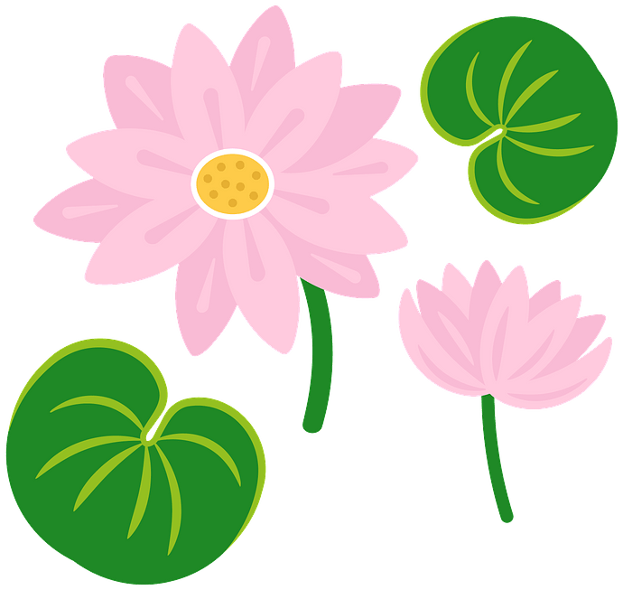 Lily pad clipart. Free download. 
