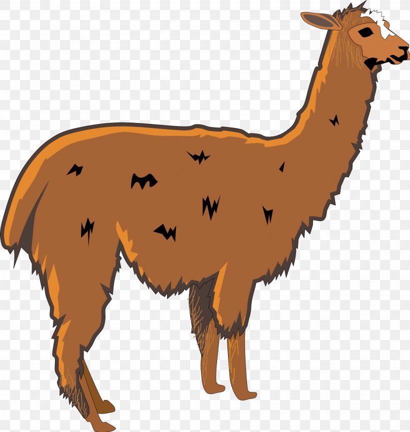 Free Alpaca Cliparts Download Free Clip Art Free Clip Art On Clipart Library