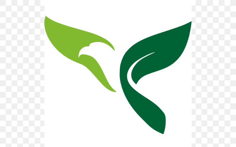 Logo Green Eagle Solutions Clip Art, PNG, Logo, Brand 