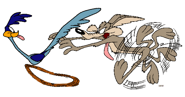 looney tunes roadrunner bird.