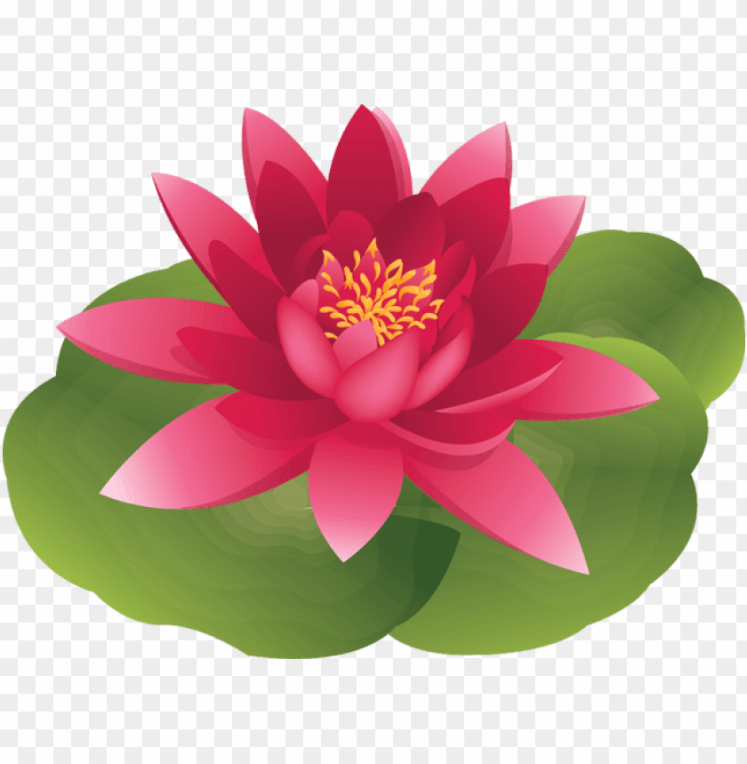 water lily clipart png clip art library water lily clipart png clip art library