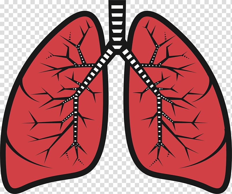 Lung , lungs surgery PNG clipart | free cliparts 
