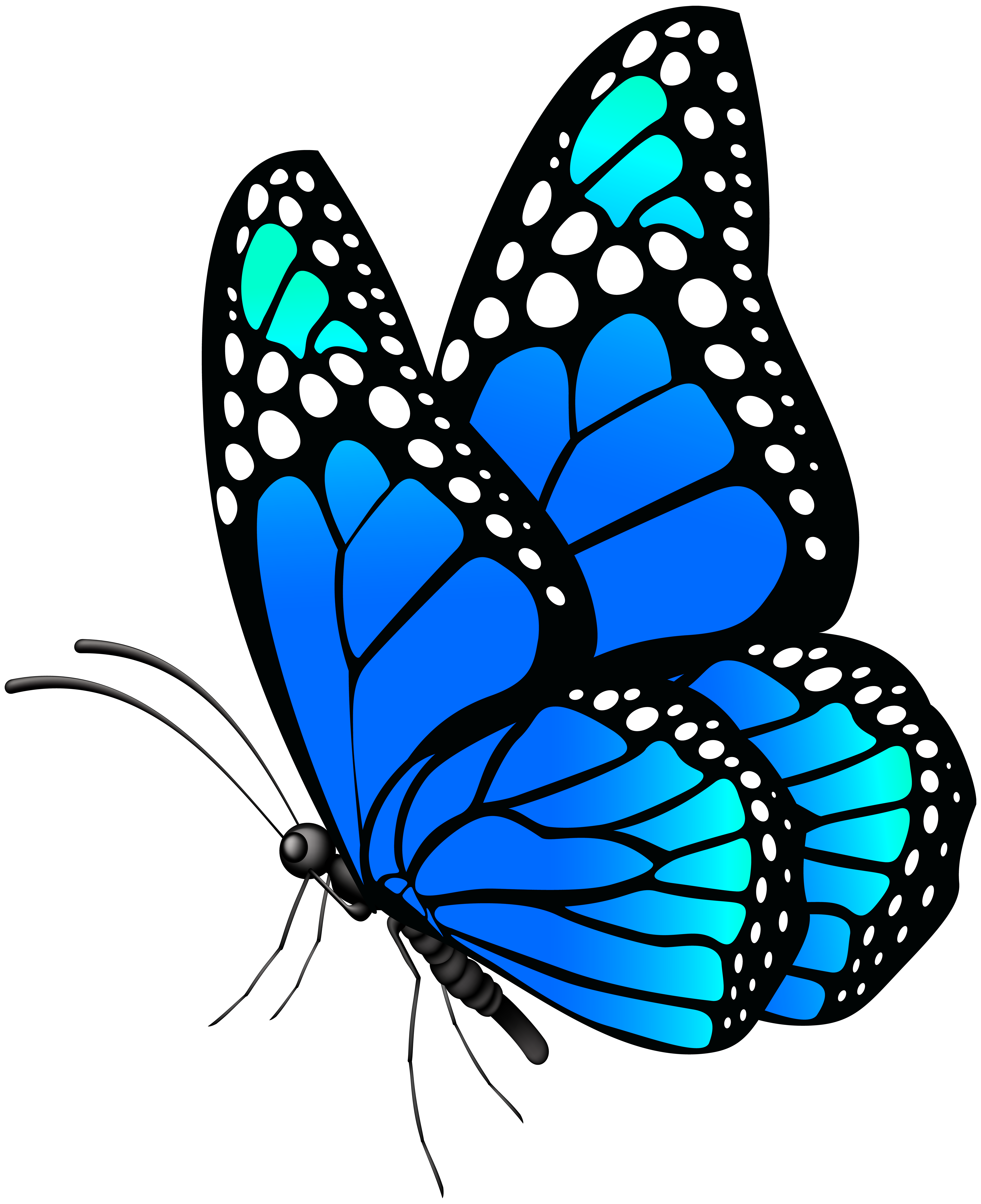 Monarch Butterfly Clipart Free Download Clip Art Library