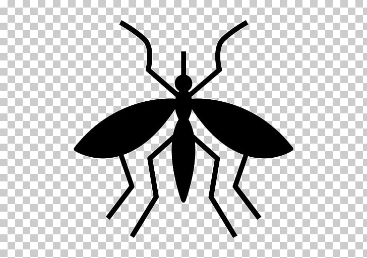 Mosquito Malaria Fly , mosquito PNG clipart | free cliparts 