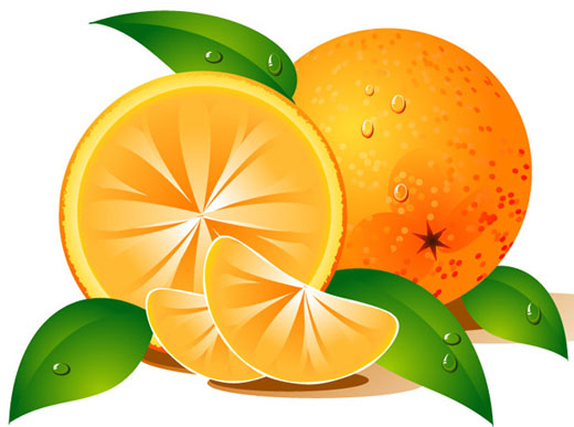 Fruits Clip Art Orange Clip Art Library