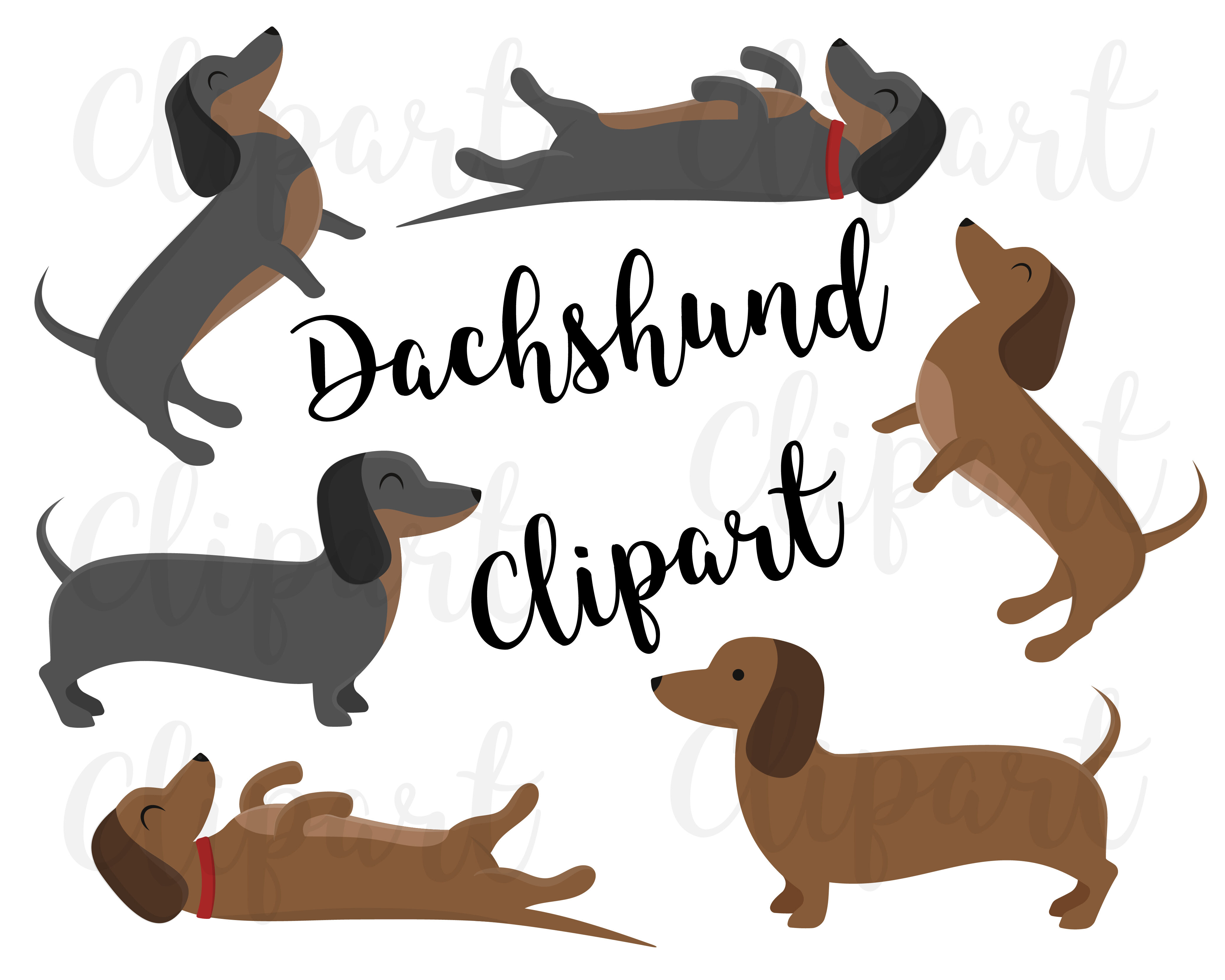 Free Dachshund Puppy Cliparts, Download Free Dachshund Puppy Cliparts