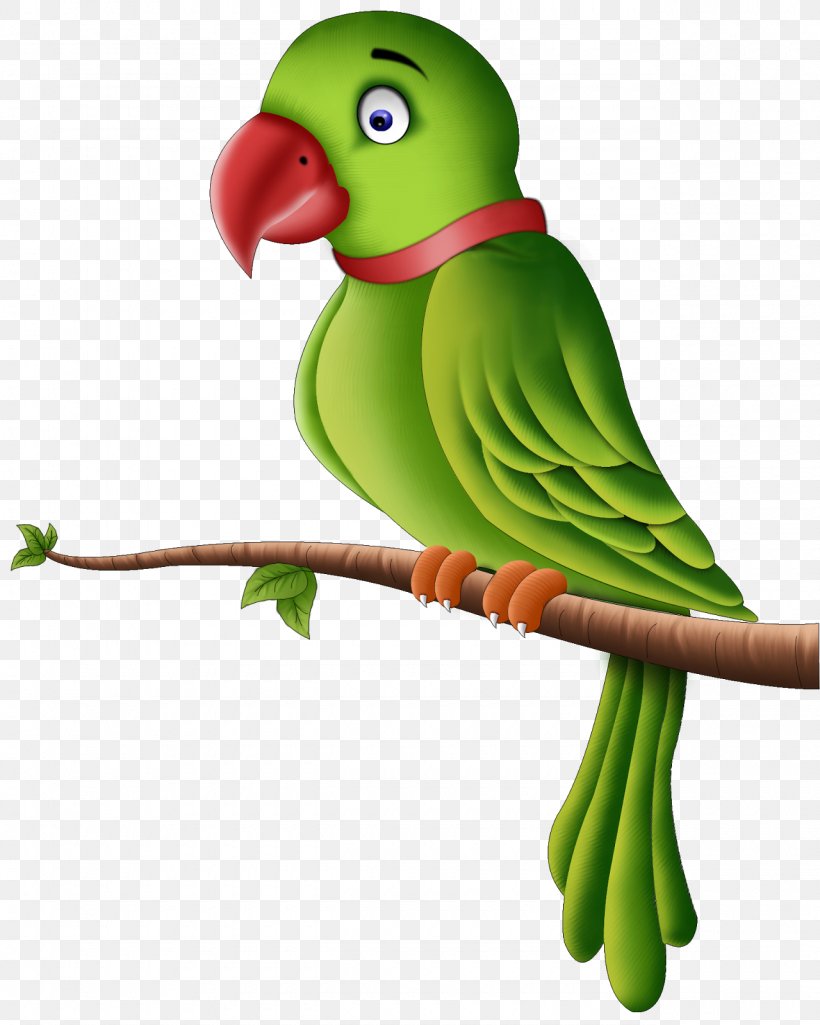 Parrot Bird Clip Art, PNG, Parrot, Beak, Bird 