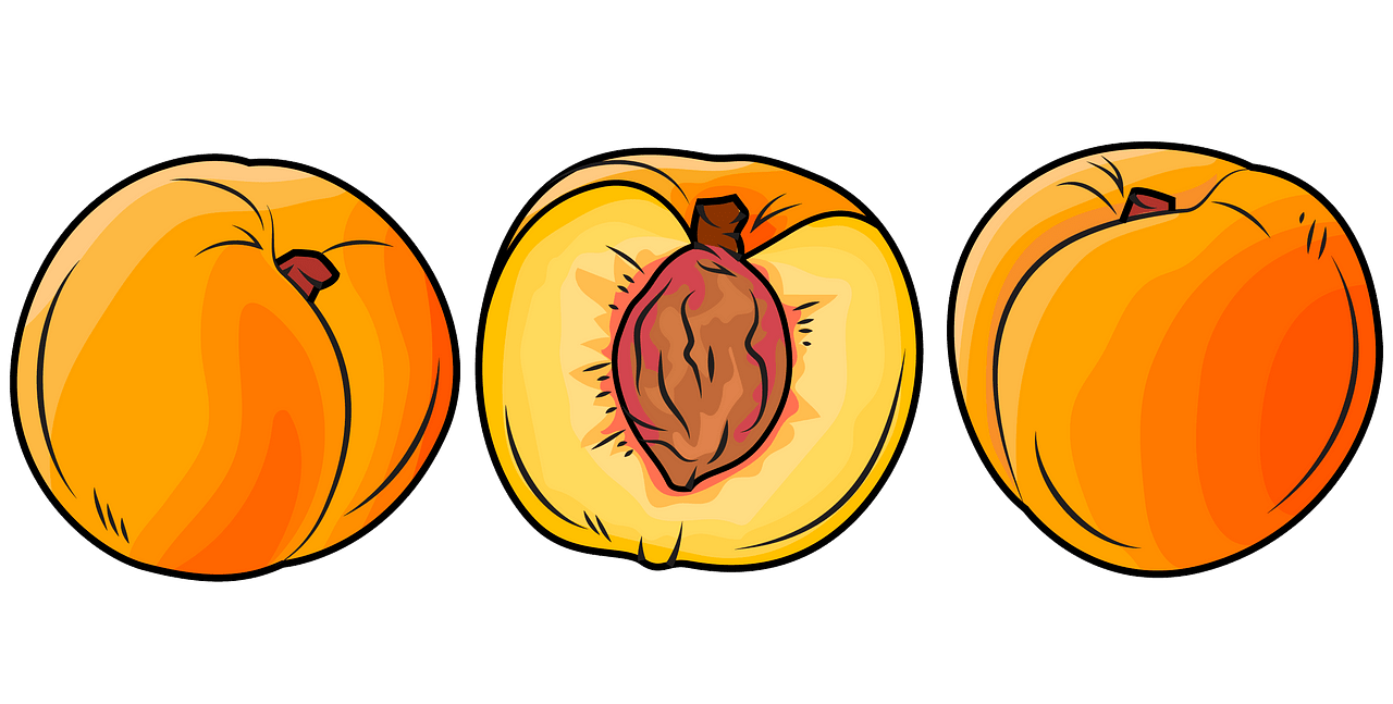 peach clip art