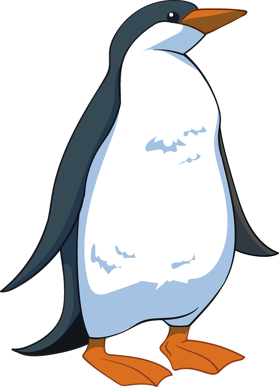 Penguin clipart. Free download. 