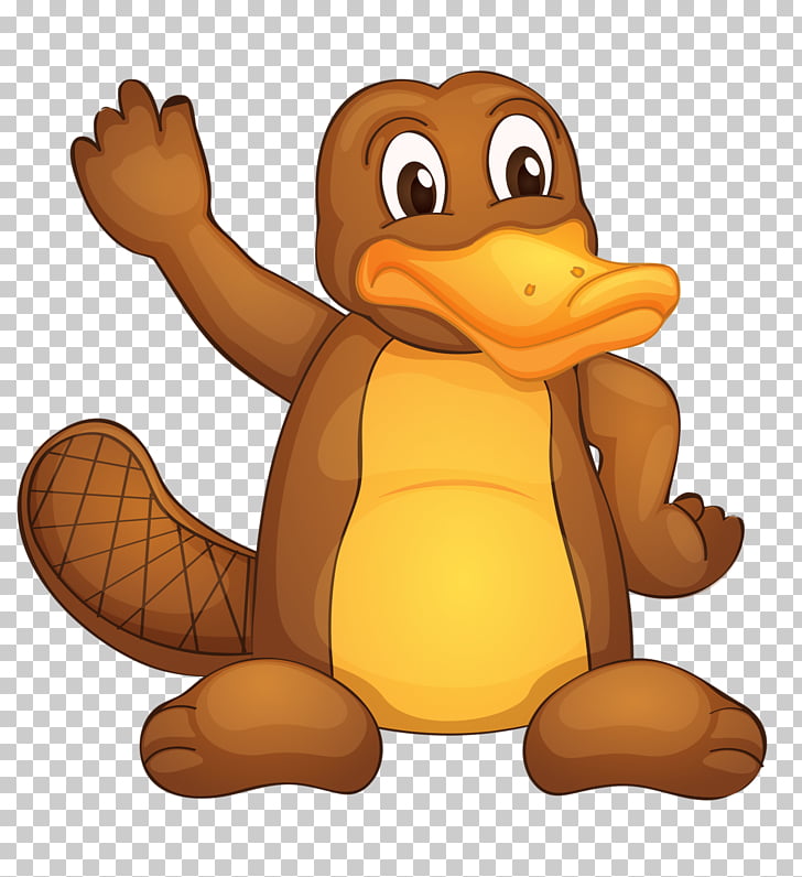 Perry the Platypus , Cute s Of Platypuses PNG clipart | free 