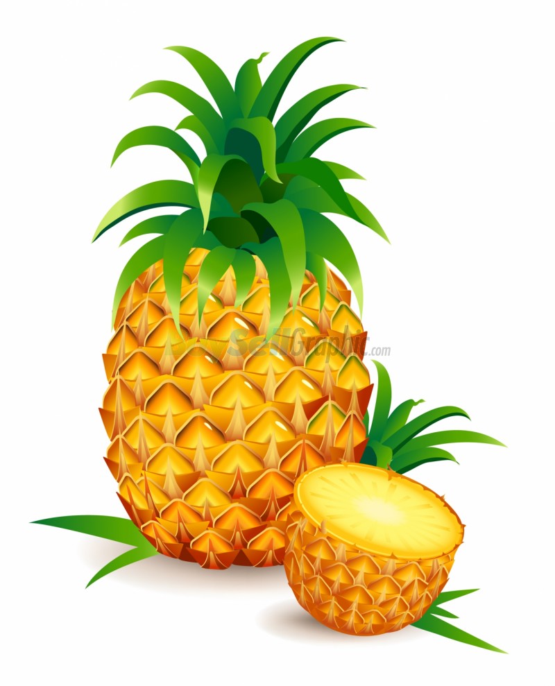 Featured image of post Cartoon Clipart Cartoon Pineapple Images Pineapple cartoon pineapple watercolor painting leaf png